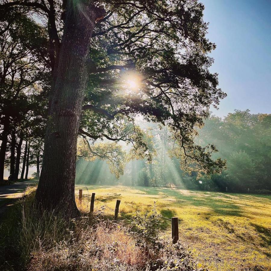 Landgoed Lodges Scholten Linde Rossum  ภายนอก รูปภาพ
